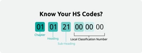 What are HS Codes? - Seifi Accountants & Consultants