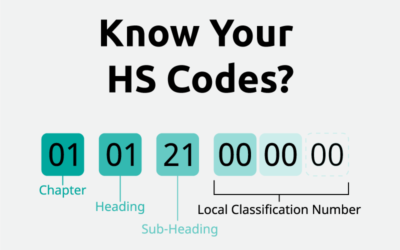 What are HS Codes?