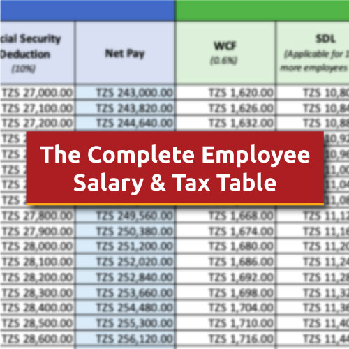Tanzania Employee Salary & Tax Calculations